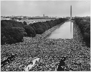 1963 March on Washington (www.petergreenberg.com)