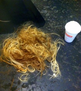 7 inches of my hair. The coffee cup's there for perspective.