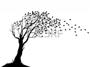 14320702-illustration-of-autumn-tree-silhouette